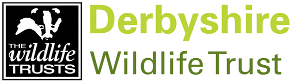 Derbyshire Wildlife Trust Logo